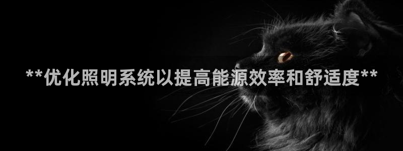 **优化照明系统以提高能源效率和舒适度**