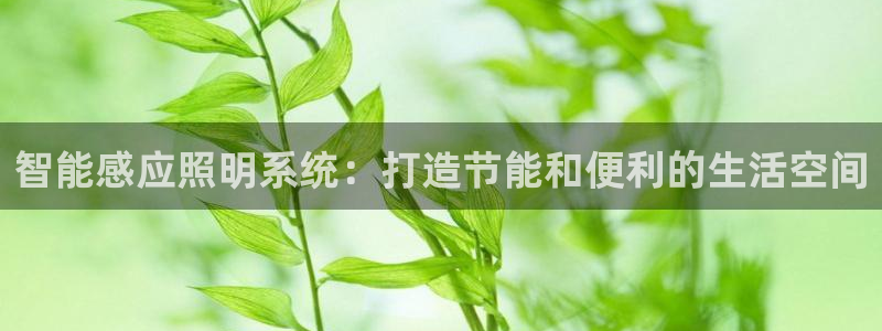 智能感应照明系统：打造节能和便利的生活空间