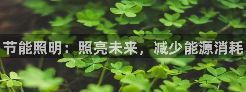 节能照明：照亮未来，减少能源消耗