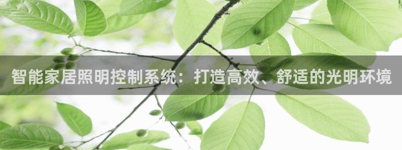 智能家居照明控制系统：打造高效、舒适的光明环境