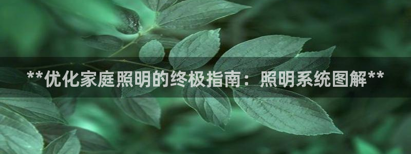 **优化家庭照明的终极指南：照明系统图解**