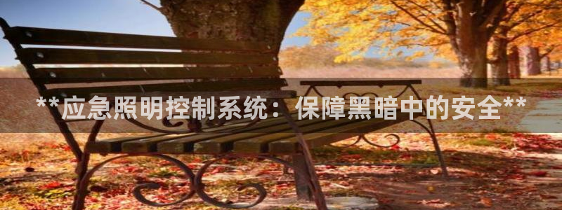 **应急照明控制系统：保障黑暗中的安全**