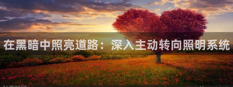 在黑暗中照亮道路：深入主动转向照明系统