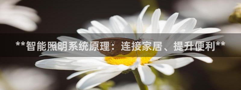 **智能照明系统原理：连接家居、提升便利**