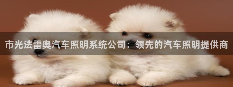市光法雷奥汽车照明系统公司：领先的汽车照明提供商