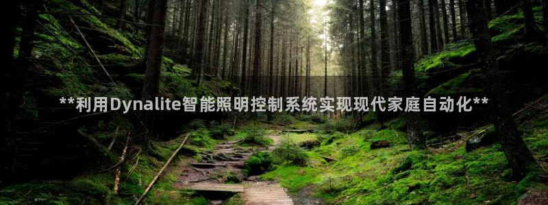**利用Dynalite智能照明控制系统实现现代家庭自动化**