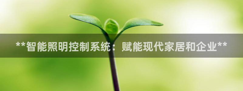 **智能照明控制系统：赋能现代家居和企业**