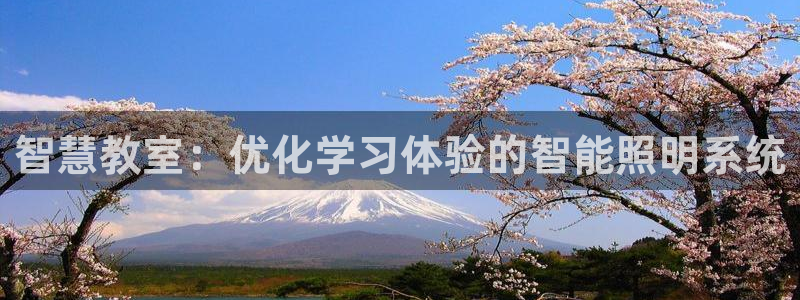 智慧教室：优化学习体验的智能照明系统