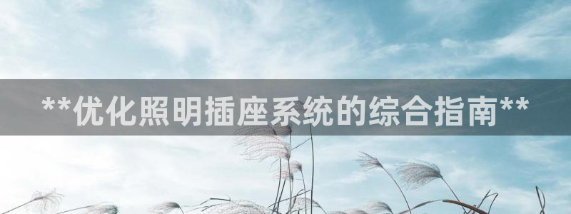 **优化照明插座系统的综合指南**