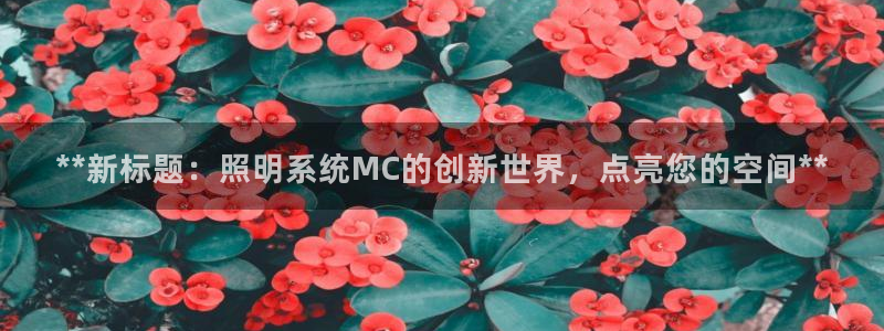 **新标题：照明系统MC的创新世界，点亮您的空间**