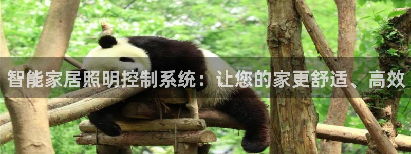 智能家居照明控制系统：让您的家更舒适、高效