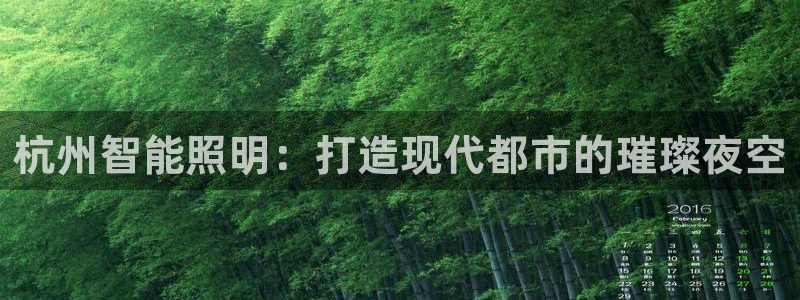 杭州智能照明：打造现代都市的璀璨夜空