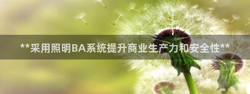 **采用照明BA系统提升商业生产力和安全性**