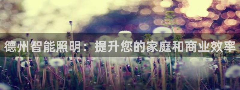 德州智能照明：提升您的家庭和商业效率