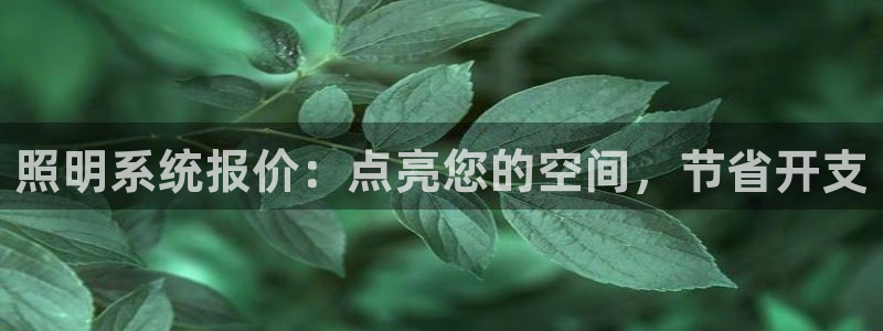 照明系统报价：点亮您的空间，节省开支