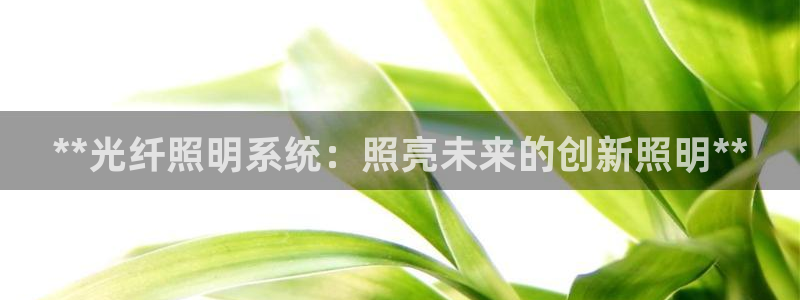 **光纤照明系统：照亮未来的创新照明**