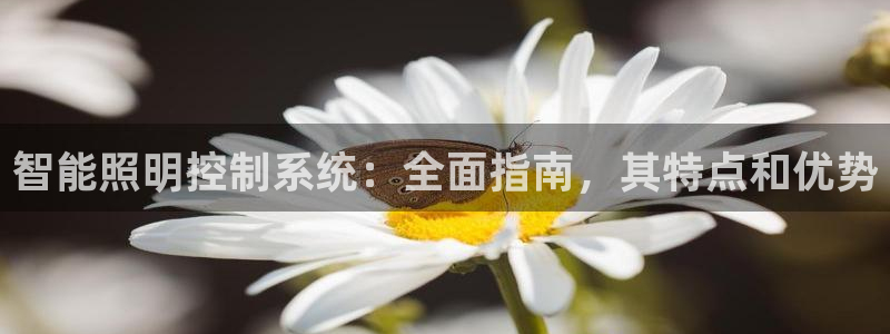 智能照明控制系统：全面指南，其特点和优势