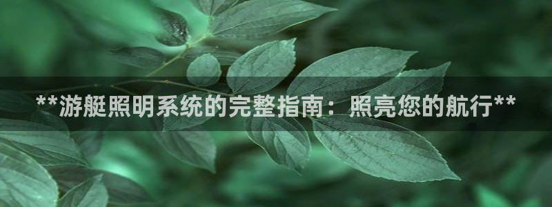 **游艇照明系统的完整指南：照亮您的航行**