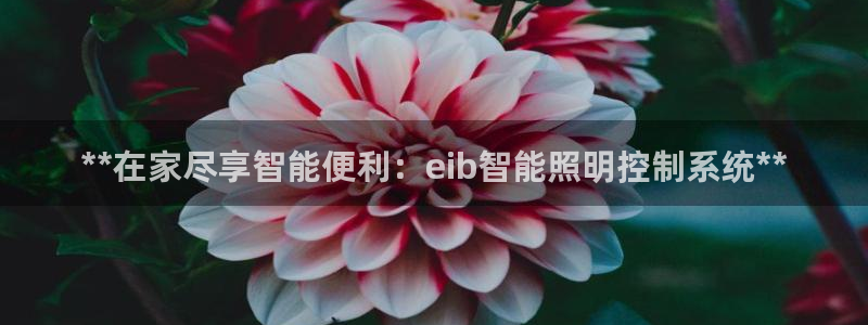 **在家尽享智能便利：eib智能照明控制系统**
