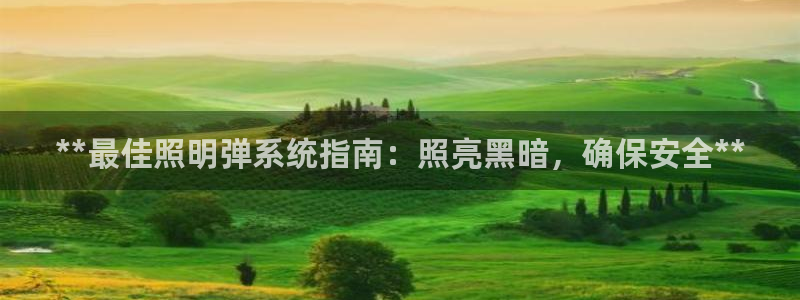 **最佳照明弹系统指南：照亮黑暗，确保安全**