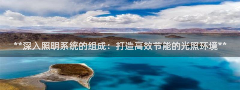 **深入照明系统的组成：打造高效节能的光照环境**