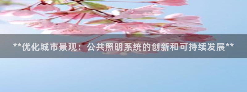 **优化城市景观：公共照明系统的创新和可持续发展**
