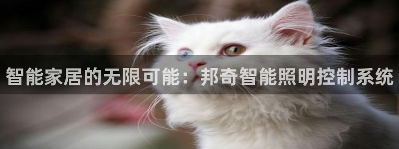 智能家居的无限可能：邦奇智能照明控制系统