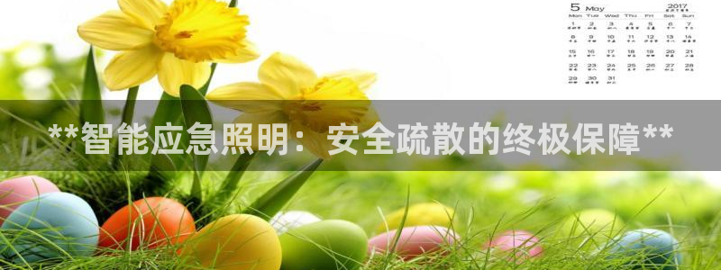 **智能应急照明：安全疏散的终极保障**