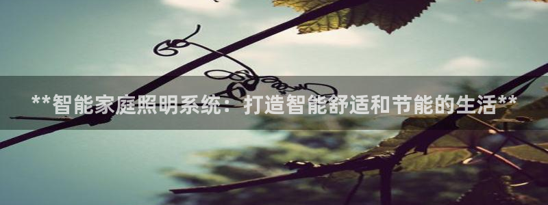 **智能家庭照明系统：打造智能舒适和节能的生活**