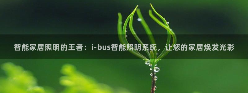 智能家居照明的王者：i-bus智能照明系统，让您的家居焕发光彩