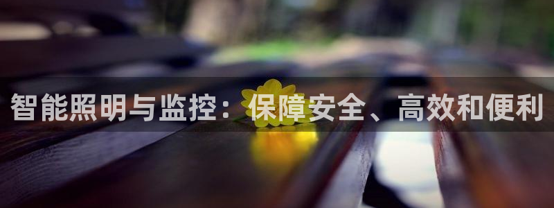 智能照明与监控：保障安全、高效和便利