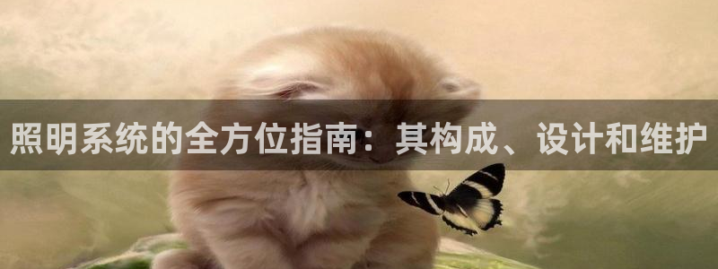 照明系统的全方位指南：其构成、设计和维护