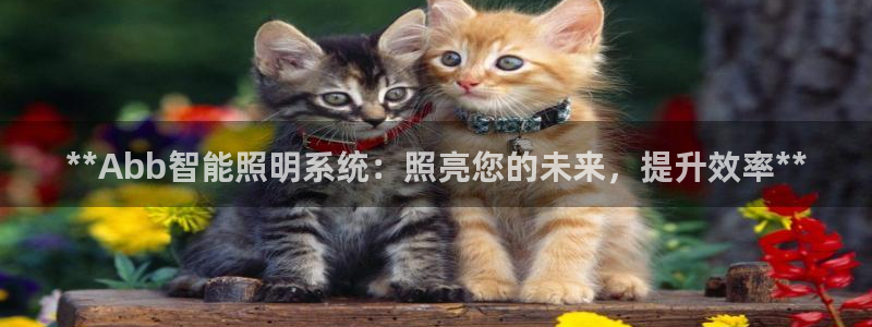 **Abb智能照明系统：照亮您的未来，提升效率**