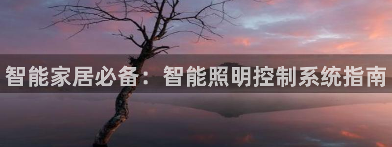 智能家居必备：智能照明控制系统指南