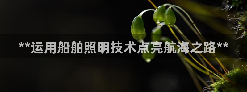 **运用船舶照明技术点亮航海之路**