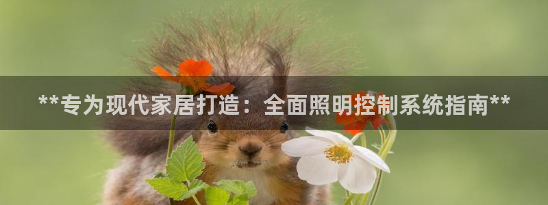 **专为现代家居打造:全面照明控制系统指南**
