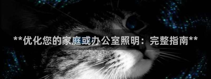 **优化您的家庭或办公室照明：完整指南**