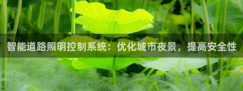 智能道路照明控制系统：优化城市夜景，提高安全性