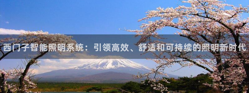 西门子智能照明系统：引领高效、舒适和可持续的照明新时代