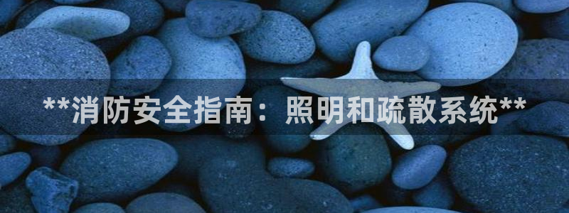 **消防安全指南：照明和疏散系统**