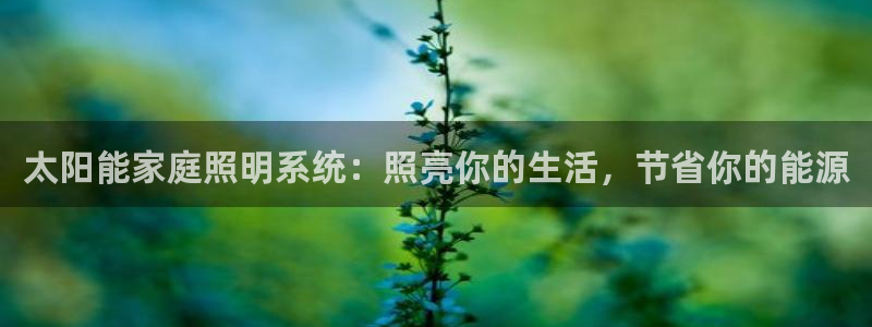 太阳能家庭照明系统：照亮你的生活，节省你