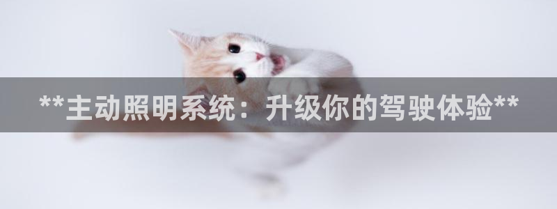 **主动照明系统：升级你的驾驶体验**
