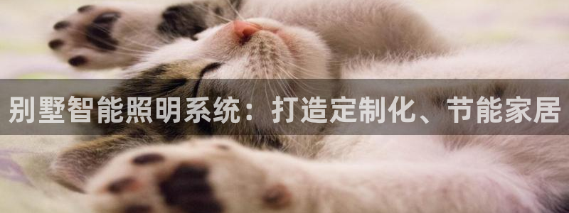 别墅智能照明系统：打造定制化、节能家居