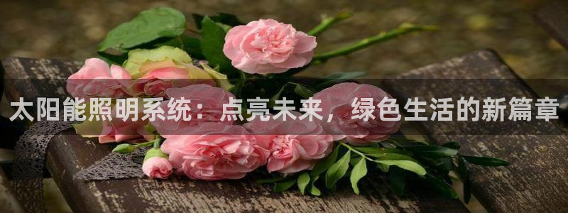 太阳能照明系统:点亮未来,绿色生活的新篇章