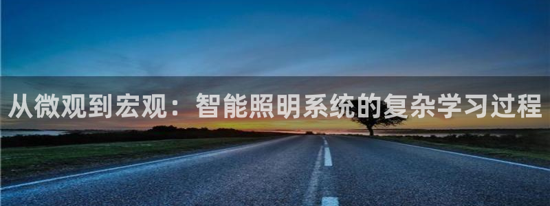 从微观到宏观：智能照明系统的复杂学习过程