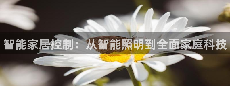智能家居控制：从智能照明到全面家庭科技