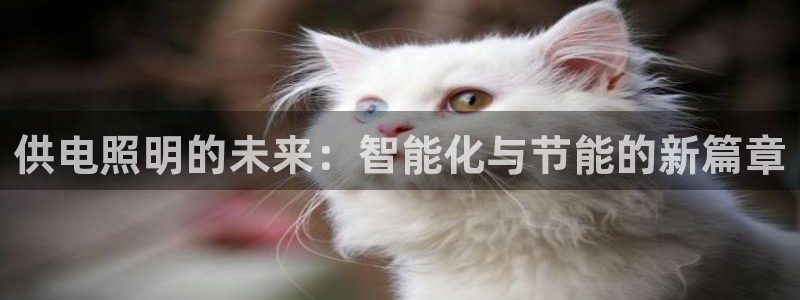 供电照明的未来：智能化与节能的新篇章