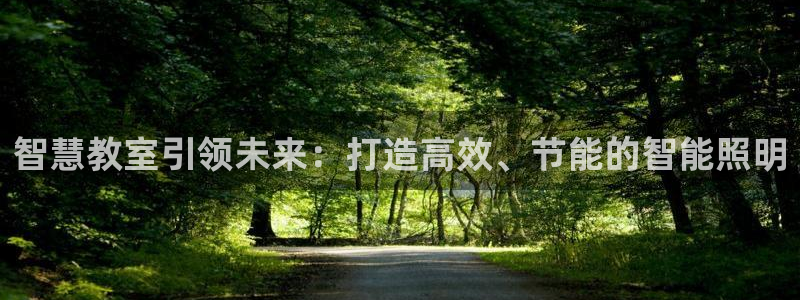 智慧教室引领未来：打造高效、节能的智能照