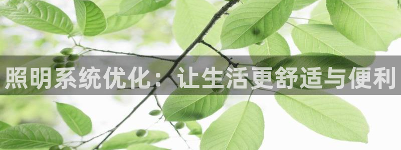 照明系统优化：让生活更舒适与便利