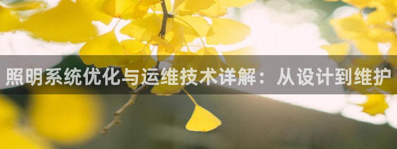 照明系统优化与运维技术详解：从设计到维护